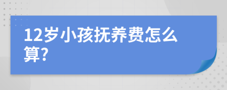 12岁小孩抚养费怎么算?