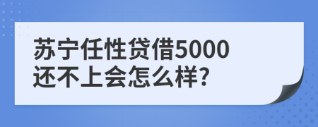 苏宁任性贷借5000还不上会怎么样?