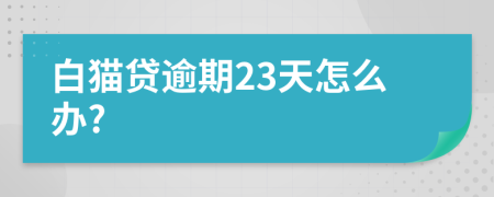 白猫贷逾期23天怎么办?