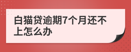 白猫贷逾期7个月还不上怎么办