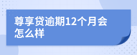 尊享贷逾期12个月会怎么样