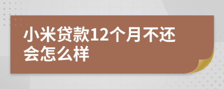 小米贷款12个月不还会怎么样