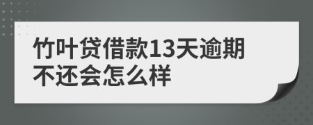 竹叶贷借款13天逾期不还会怎么样