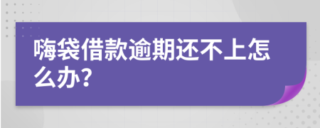 嗨袋借款逾期还不上怎么办？