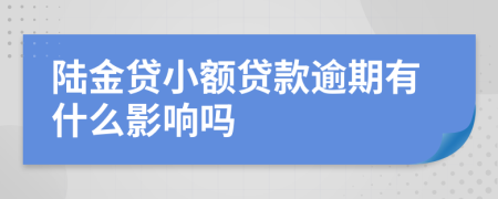 陆金贷小额贷款逾期有什么影响吗