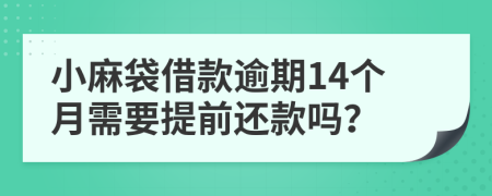 小麻袋借款逾期14个月需要提前还款吗？