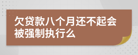 欠贷款八个月还不起会被强制执行么