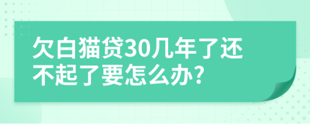 欠白猫贷30几年了还不起了要怎么办?