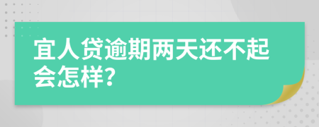 宜人贷逾期两天还不起会怎样？