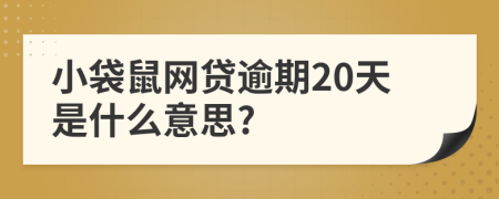 小袋鼠网贷逾期20天是什么意思?