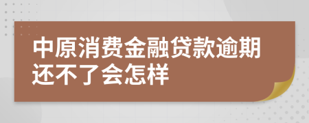 中原消费金融贷款逾期还不了会怎样