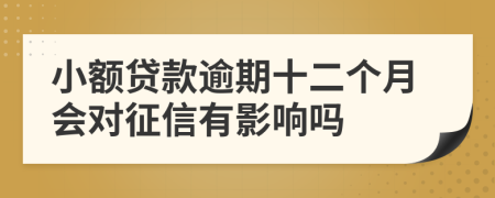 小额贷款逾期十二个月会对征信有影响吗