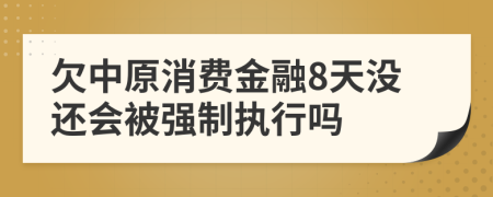 欠中原消费金融8天没还会被强制执行吗