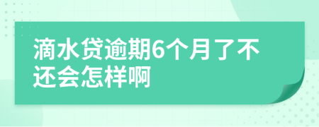 滴水贷逾期6个月了不还会怎样啊
