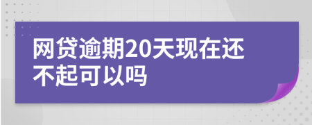 网贷逾期20天现在还不起可以吗