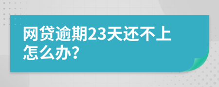 网贷逾期23天还不上怎么办？