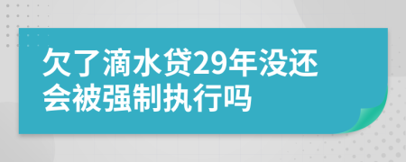 欠了滴水贷29年没还会被强制执行吗