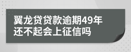 翼龙贷贷款逾期49年还不起会上征信吗