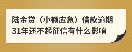 陆金贷（小额应急）借款逾期31年还不起征信有什么影响