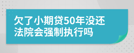 欠了小期贷50年没还法院会强制执行吗