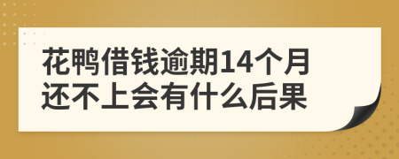 花鸭借钱逾期14个月还不上会有什么后果