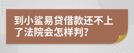 到小鲨易贷借款还不上了法院会怎样判?