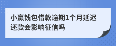 小赢钱包借款逾期1个月延迟还款会影响征信吗