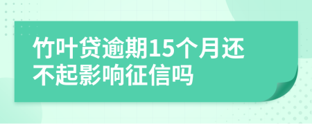 竹叶贷逾期15个月还不起影响征信吗