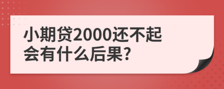 小期贷2000还不起会有什么后果?