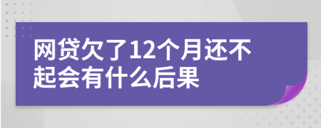 网贷欠了12个月还不起会有什么后果