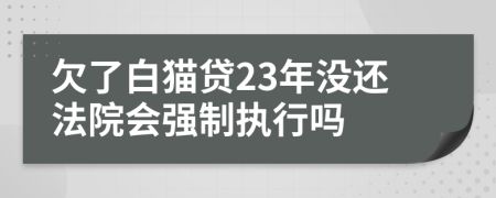 欠了白猫贷23年没还法院会强制执行吗