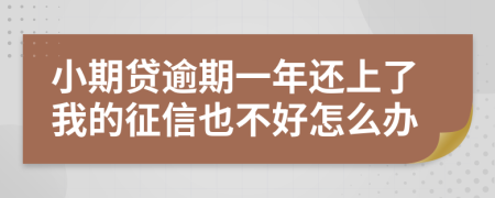 小期贷逾期一年还上了我的征信也不好怎么办