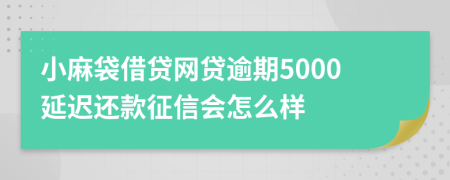 小麻袋借贷网贷逾期5000延迟还款征信会怎么样