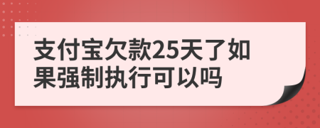 支付宝欠款25天了如果强制执行可以吗