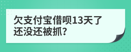 欠支付宝借呗13天了还没还被抓？