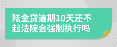 陆金贷逾期10天还不起法院会强制执行吗