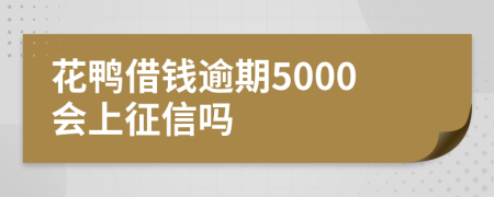 花鸭借钱逾期5000会上征信吗