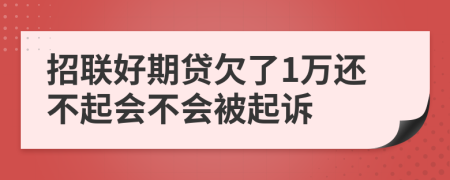 招联好期贷欠了1万还不起会不会被起诉