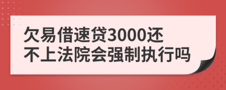 欠易借速贷3000还不上法院会强制执行吗