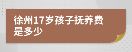 徐州17岁孩子抚养费是多少