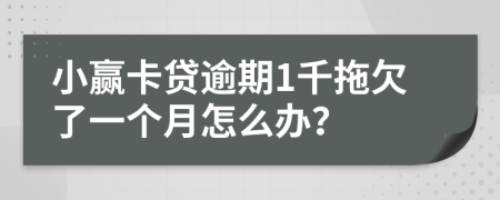 小赢卡贷逾期1千拖欠了一个月怎么办？