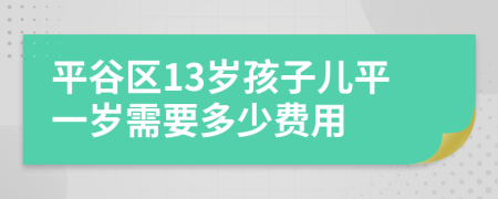 平谷区13岁孩子儿平一岁需要多少费用