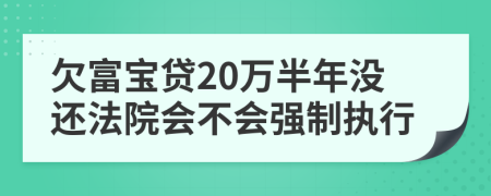 欠富宝贷20万半年没还法院会不会强制执行