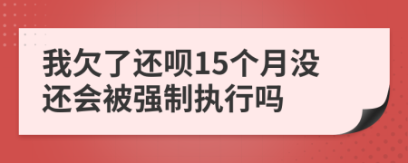 我欠了还呗15个月没还会被强制执行吗