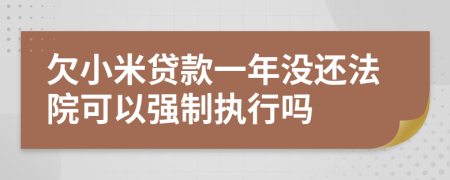 欠小米贷款一年没还法院可以强制执行吗