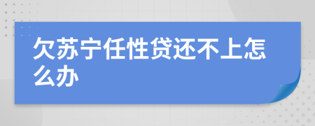 欠苏宁任性贷还不上怎么办