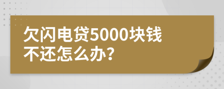 欠闪电贷5000块钱不还怎么办？