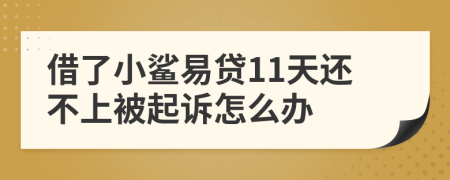 借了小鲨易贷11天还不上被起诉怎么办