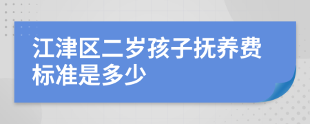 江津区二岁孩子抚养费标准是多少