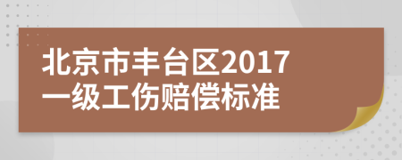 北京市丰台区2017一级工伤赔偿标准